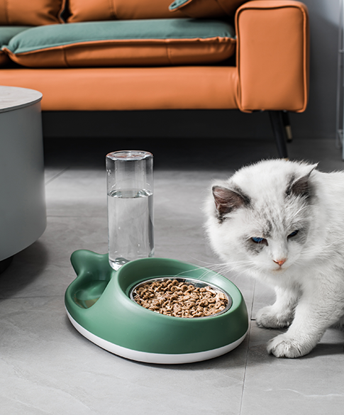 Mangiatoia automatica per gatti e distributore di acqua nel set